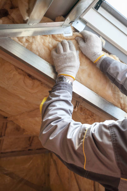 Best Eco-Friendly Insulation in Cornish, ME